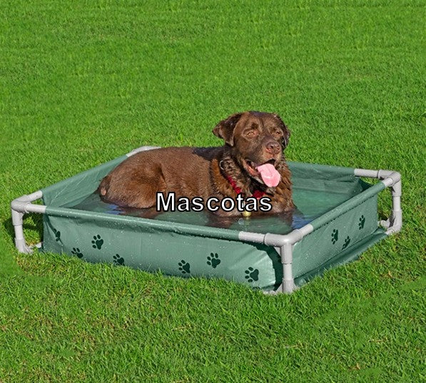 Mascotas